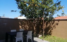 Lemon Tree Apartment